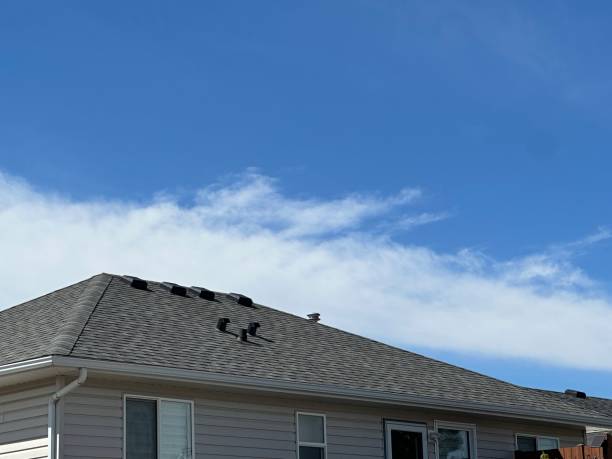 Best Roof Insulation Installation  in Refugio, TX